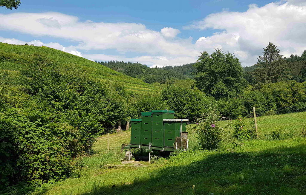 Bienenstand